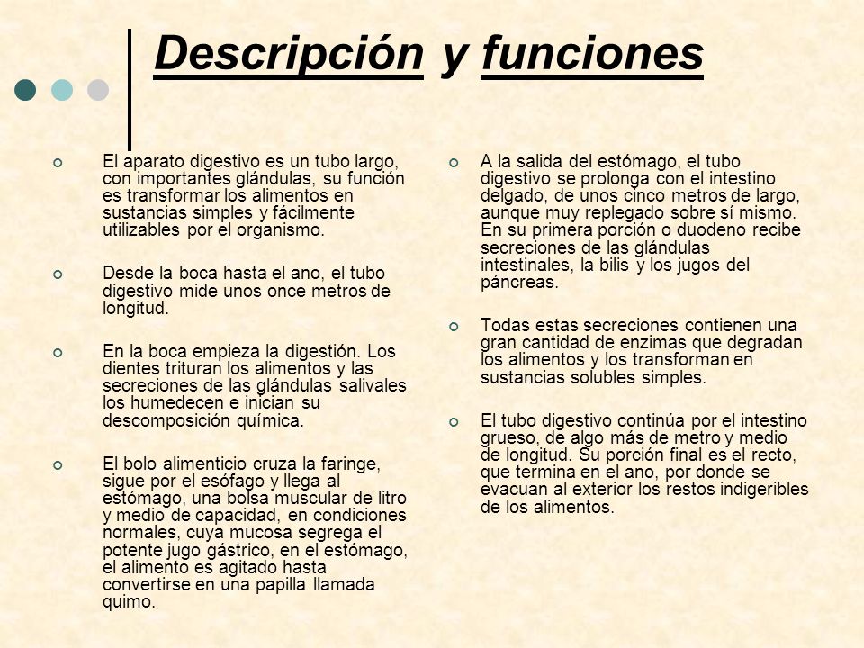 funcion del ano en la digestion